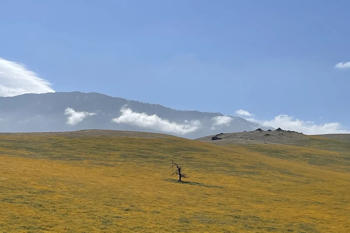 Kern County foothill landscape near Shafter representing local manufactured-home communities