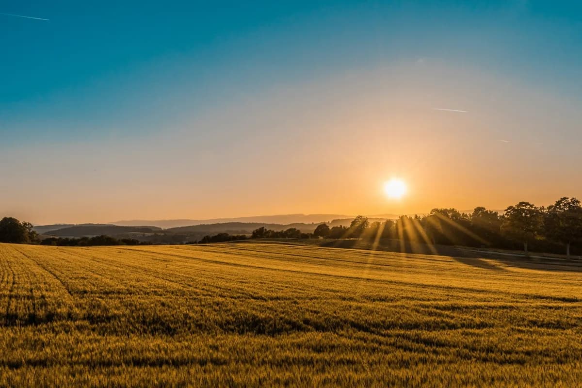 Central Valley farmland near Wasco, CA where manufactured homes need professional leveling