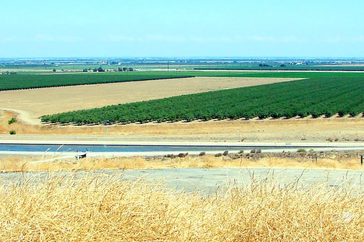 San Joaquin Valley canal and orchards near Delano — manufactured home leveling in north Kern County